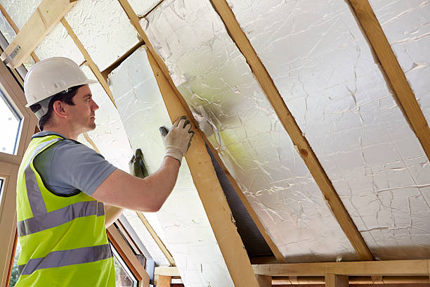 Best Blown-in Insulation in Smithfield, NC